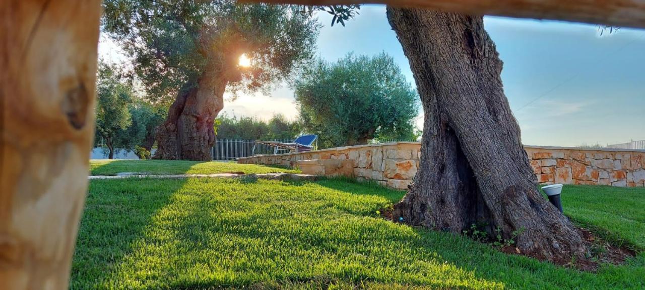 Trulli Lisanna Daire Antonelli Dış mekan fotoğraf